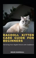 Ragdoll Kitten Care Guide For Beginners