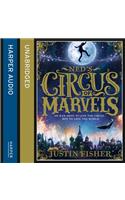 Ned’s Circus of Marvels