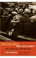 Breadlines Knee-Deep in Wheat