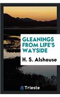 Gleanings from Life's Wayside