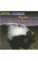 Skunks Are Night Animals / Los Zorrillos Son Animales Nocturnos