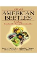 American Beetles, Volume II