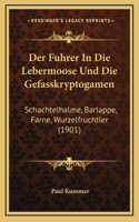 Der Fuhrer In Die Lebermoose Und Die Gefasskryptogamen: Schachtelhalme, Barlappe, Farne, Wurzelfruchtler (1901)