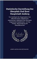 Statistische Darstellung Der Oberpfalz Und Ihrer Hauptstadt Amberg