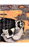 Little Raccoon's Adventures: (English)