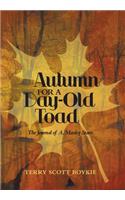 Autumn for a Day-Old Toad