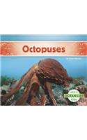 Octopuses
