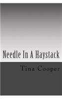 Needle In A Haystack