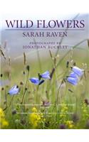 Sarah Raven's Wild Flowers