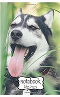 Notebook Journal Dot-grid, Graph, Lined, Blank, No Lined - Husky Dog: Small Pocket Notebook / Journal / Diary
