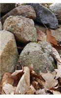 Journal Rock Pile Dry Leaves: (Notebook, Diary, Blank Book)