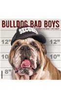 Bulldog Bad Boys 2019 Wall Calendar (Dog Breed Calendar)