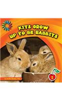 Kits Grow Up to Be Rabbits: (21st Century Basic Skills Library: Level 1: Animals Grow Up)