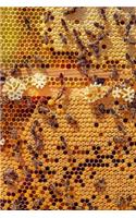 Bees on Honeycomb Journal