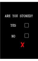 Are You Stoned?: Small Blank Lined Notebook - Funny Notepad, Diary, Journal - Creative Gift.