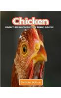 Chicken: Fun Facts and Amazing Photos of Animals in Nature