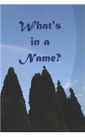 What's in a Name?