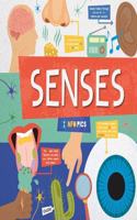 Senses: (InfoPics)