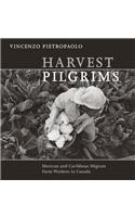 Harvest Pilgrims
