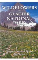 Wildflowers of Glacier National Park