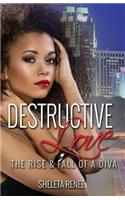 Destructive Love