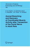Axonal Branching and Recovery of Coordinated Muscle Activity after Transsection of the Facial Nerve in Adult Rats