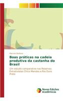 Boas práticas na cadeia produtiva da castanha do Brasil