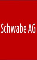 Studien Zur Postglazialen Gletscher- Und Vegetationsgeschichte Des Sustenpassgebietes