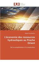 L'Économie Des Ressources Hydrauliques Au Proche Orient