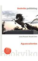 Aguascalientes