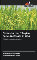 Diversità morfologica nelle acessioni di riso