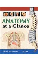 Anatomy at a Glance: (English)