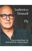Fly by Ludovico Einaudi