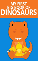 My First Big Book Of Dinosaurs