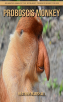 Proboscis Monkey