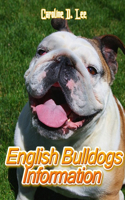 English Bulldogs Information: Animal fact for girl age 1-10 Animal fact for boy age 1-10 English bulldog on fact