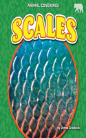 Scales: (Animal Coverings)