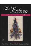 The Kidney