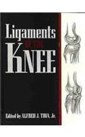 Ligaments of the Knee