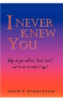 I Never Knew You