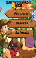 Journey Into the World of Insects