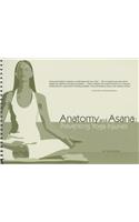 Anatomy and Asana: Preventing Yoga Injuries