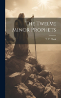 Twelve Minor Prophets