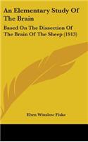 An Elementary Study Of The Brain