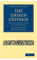 Unseen Universe: Physical Speculations on a Future State