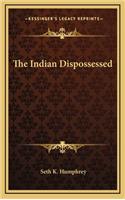 The Indian Dispossessed