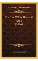 For The White Rose Of Arno (1896)