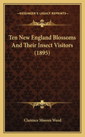 Ten New England Blossoms And Their Insect Visitors (1895)