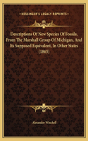 Descriptions Of New Species Of Fossils, From The Marshall Group Of Michigan, And Its Supposed Equivalent, In Other States (1865)
