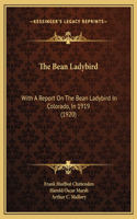 The Bean Ladybird